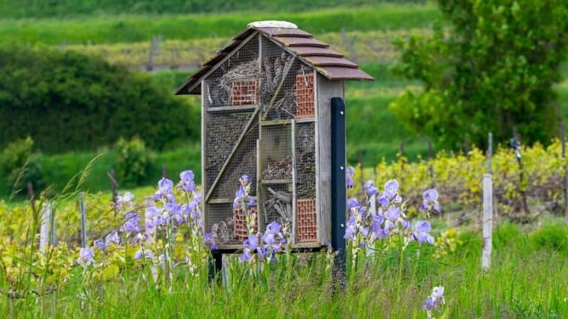 Hotel de insetos feito com bambu e madeira reciclada