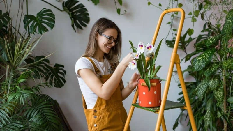 Por que Ter um Jardim em Casa