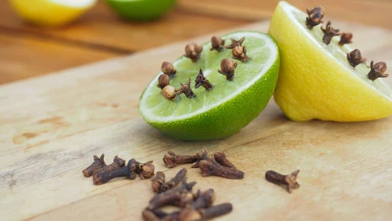 Limão com cravos-da-Índia como repelente natural de moscas.