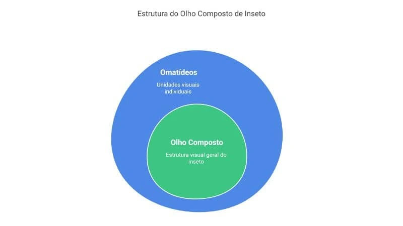 Gráfico comparando a percepção de detalhes do olho humano e o campo de visão pixelado de uma barata