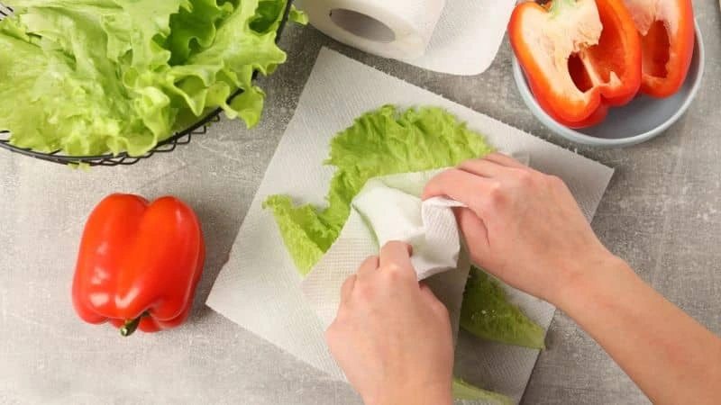 Secagem de folhas verdes com papel toalha para conservação