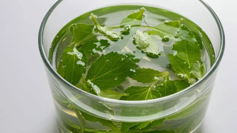 Lavagem de verduras com solução de água e vinagre para conservação