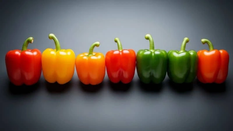 Fileira de pimentões em verde, amarelo, laranja e vermelho mostrando variações de sabor